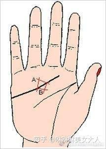 Triangles and grids on heart line