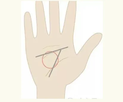 Liver Zone Palmistry