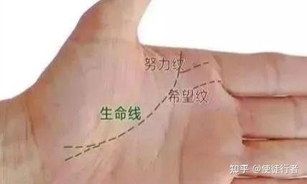 Palmistry drawing showing small lines climbing from the Life Line