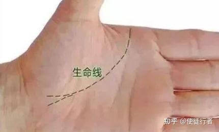 Palmistry hand drawing of the Life Line encircling the thumb mound