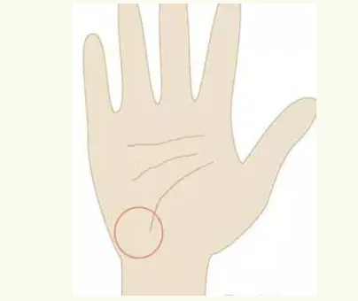 Endocrine Zone Palmistry