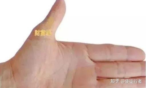 Palmistry drawing showing cross-hatch or diamond grid near the base of the thumb