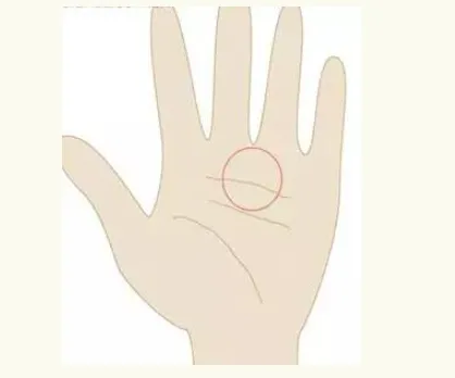 Heart Zone on Palm