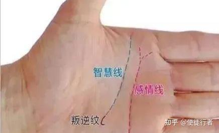 Palmistry drawing of the heart line