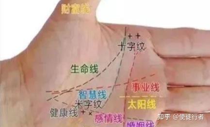 Clean palmistry drawing for line annotation