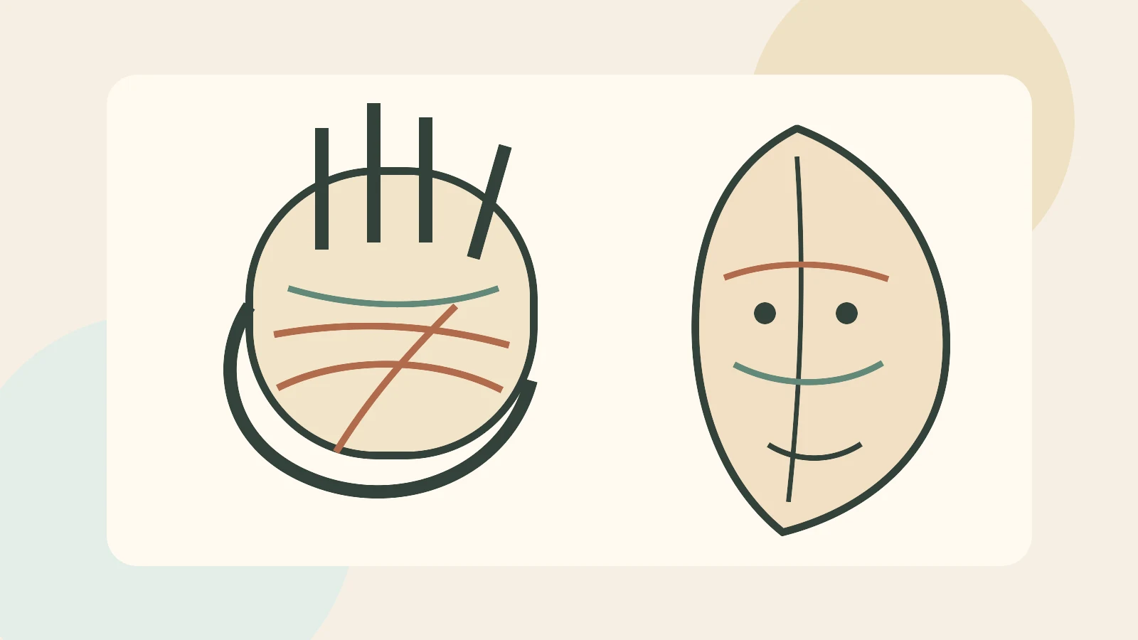 Palm and Face Reading as Cultural Self-Reflection, Not Fate