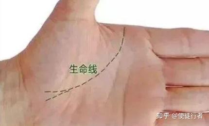 Palmistry drawing of the life line